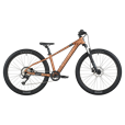 Roxter 600