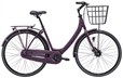 Purple 4